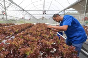 Ladang pintar buka peluang kedua buat gelandangan ubah nasib