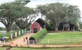 Peserta Regatta Antarabangsa Raja Muda Selangor rasai pengalaman agropelancongan