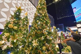 Cabinet ministers extend Christmas greetings, urge strengthening of unity