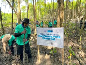CGC plants 200 mangrove trees in Taman Alam, Kuala Selangor