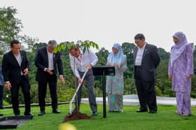 Anwar plants Malaysia’s 100 millionth tree