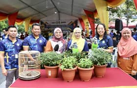 Galak aktiviti menanam di bandar, 27 kebun komuniti terima dana RM40,000