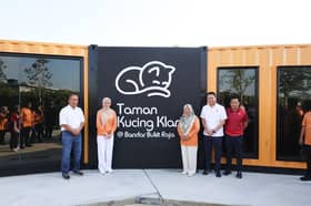 Permaisuri cetus taman rekreasi kucing, lindungi haiwan terbiar