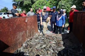 Insentif RM1 setiap kg ikan asing, jadual tangkapan setiap Sabtu, Ahad