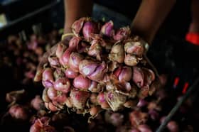 Bawang Rose Ehsan hasil teknologi IoT tahan penyakit, kurang kebergantungan import