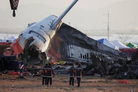 Questions over airport embankment, bird strikes in South Korea air crash