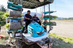 Kerajaan tumpu manfaat 91,000 hektar tanah terbiar untuk tanaman padi