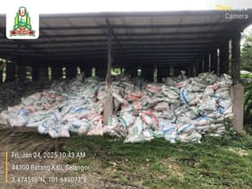 Ladang ayam diarah tutup selepas gagal tangani bau busuk