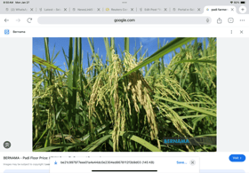 Govt approves RM1bln to boost Kedah padi production