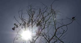 MetMalaysia: Cuaca panas luar biasa diramal tidak berlaku tahun ini