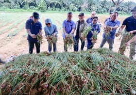 Menteri: Kerajaan sasar kurangkan import bawang hingga 30 peratus menjelang 2030