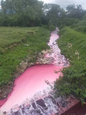 80 kes pencemaran sungai direkod tahun lalu, LUAS pantau 24 jam