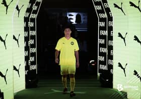 FAM: Lapan pemain warisan bakal sertai Harimau Malaya