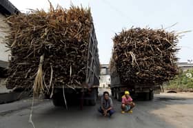 Thailand to lose US$29 mln from China’s syrup import ban