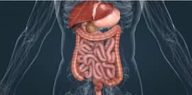 Sukar telan, hilang selera makan antara simptom barah perut, esofagus