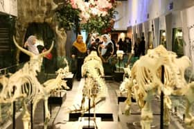 翻新后魅力大增！　苏丹阿南沙博物馆半年迎逾10万游客