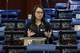 Minister files bankruptcy notice against academician for failing to pay defamation damages