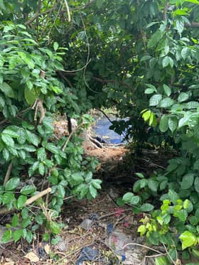 Luas’ speedy work prevents contamination of Sg Semenyih WTP