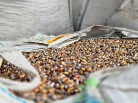 Polis, JAS rampas RM3.8 billion e-sisa dari 2024 hingga 17 Februari