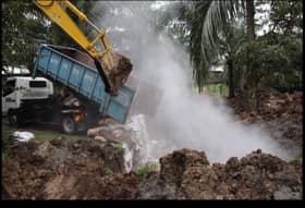 非洲猪瘟扑杀6000猪只  陈家兴吁政府救猪农保肉价