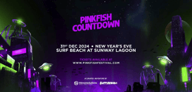 Cops confirm drug intoxication caused deaths at New Year’s Eve concert