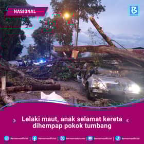 Lelaki maut, anak selamat kereta dihempap pokok tumbang