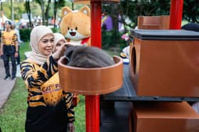 Tengku Permaisuri Norashikin marks official opening of Shah Alam’s new cat park