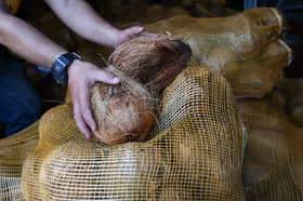 Over 700 metric tonnes of mature coconuts imported as of March 4 — Minister