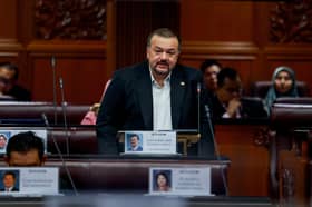 SST revenue enough to fund 13MP projects, says minister