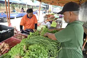 Dari naik bas kendong sayur, usahawan Orang Asli raih RM20,000 sebulan