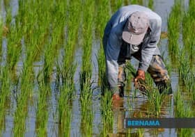 Dewan Rakyat: Final day to focus on e-waste, rice farming