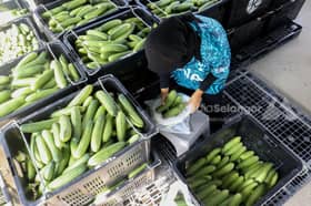 Agro-entrepreneur initiative helps increase family income, expand knowledge