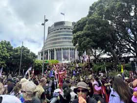 New Zealand Parliament rejects controversial indigenous law