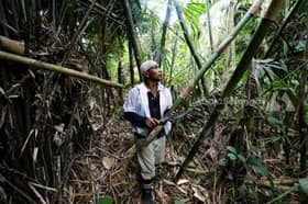 Rezeki pencari buluh lemang berganda dari Ramadan hingga Syawal