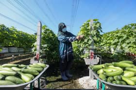 Selangor Export Day allows entrepreneurs to penetrate global market