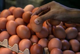Egg prices hold steady despite subsidy cut