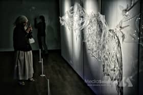 Pameran seni pupuk keharmonian, naikkan martabat negara