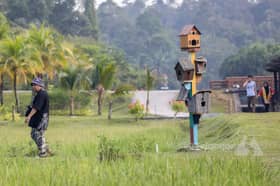 Syurga burung hijrah, 300 spesies singgah dua kali setahun