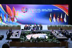 BIMP-Eaga fuels trade, investment and energy growth: Marcos Jr