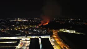 近期林火疑人为所致 消防总监：现天气难自燃