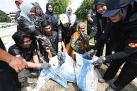 Authorities works to recover Selangor river ecosystem by removing pleco fish