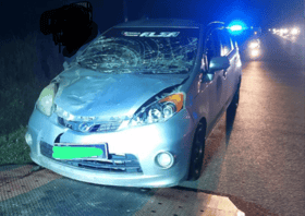 Another elephant gets hit crossing the road, couple escapes unhurt