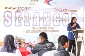 Inisiatif buru ikan asing berhasil, populasi di Denai Sungai Kebangsaan turun 80 peratus