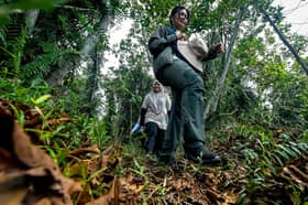 State Forestry Dept reports over 150 arrests as forest visits increase in Selangor 