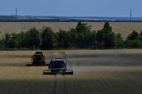 EU reimposes pre-war agri duties on Ukraine, seeks compromise in new deal