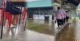 巴生利民华小又陷水患引来昆虫   学生冒险踩凳赤脚上课应考