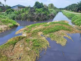 LUAS ambil tindakan segera siasat pencemaran Sungai Kapar Kechil