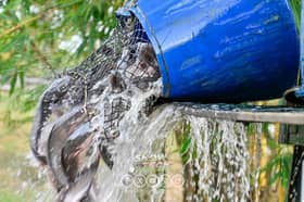 After criticism over invasive fish release in MAEPS Lake, DOF to draw up new rules