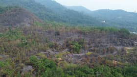 Kebakaran hutan 24 hektar di Kuala Kubu Bharu berjaya dipadam sepenuhnya