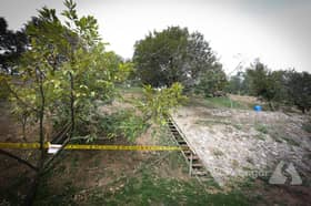 蒲种山坡变“私人榴莲园”　 居民怒斥农药呛鼻.草皮枯死